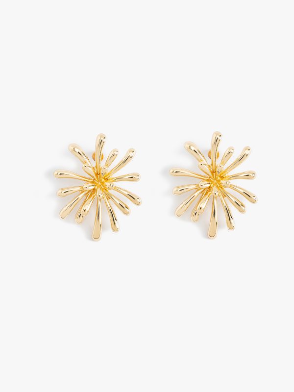 Boucles D’Oreilles Femme